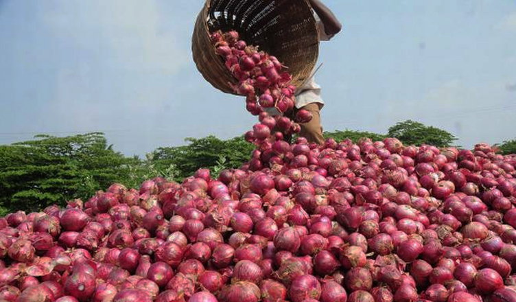 Onions Price