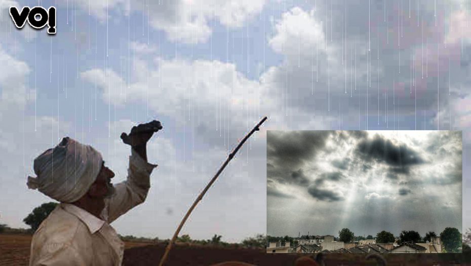 बादल छाए और बारिश हुई; गुजरात में किसान चिंतित