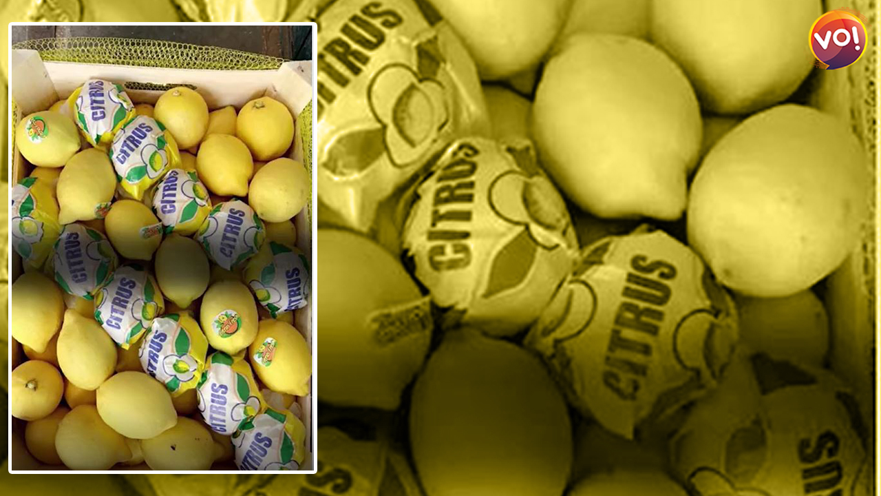 Ahmedabadis will get Turkish lemon