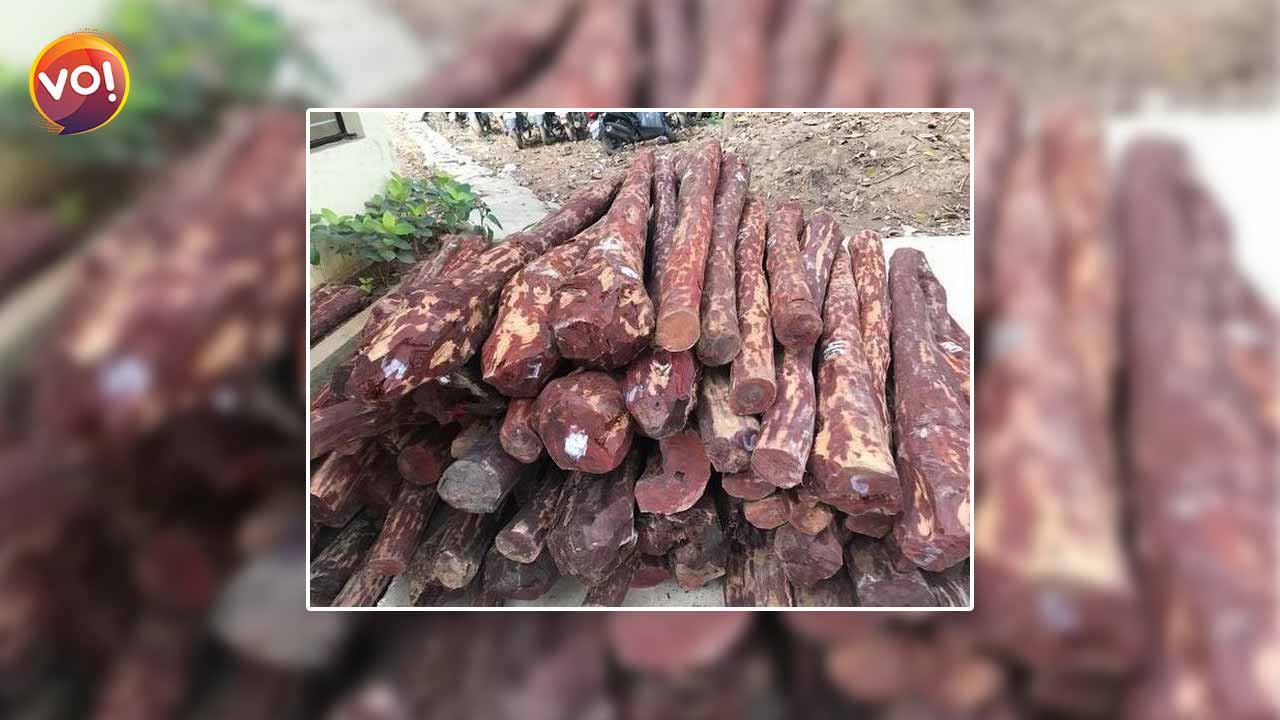 Red Sanders