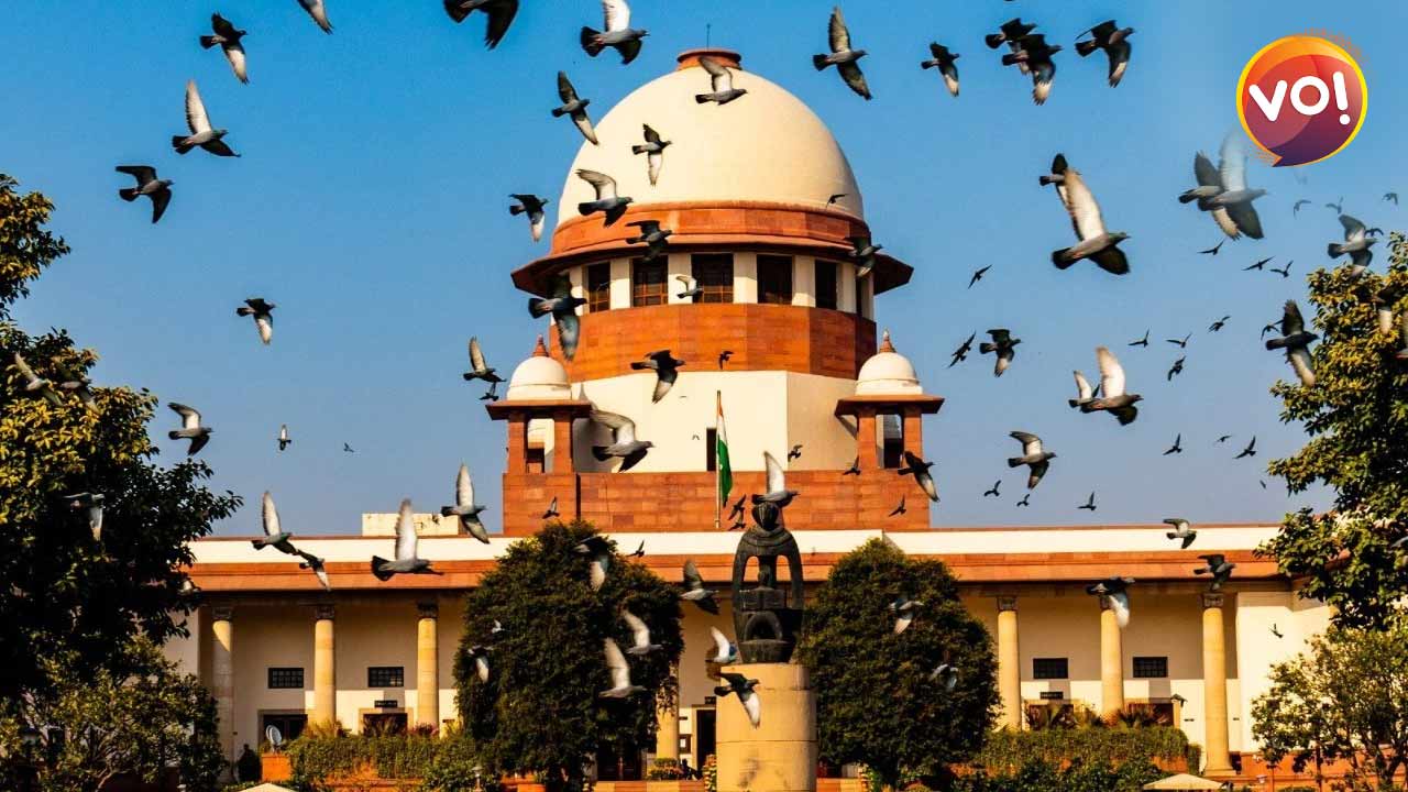 SC Asks Sisodia To Move HC For Bail