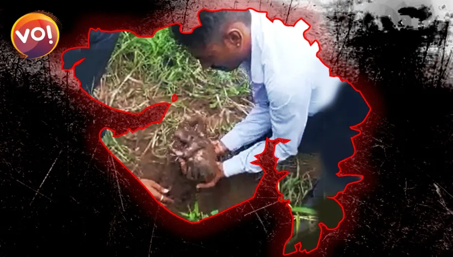 गुजरात में बेटी बचाओ: खेत में मिला जिंदा दफनाया गया नवजात