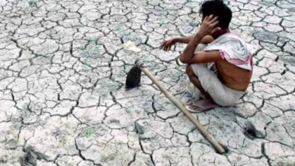 8 महीनों में 1,800 से अधिक मौतें: महाराष्ट्र में किसान आत्महत्याओं में भारी वृद्धि