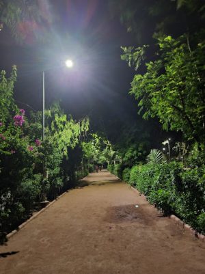 10 Beautiful Gardens of Ahmedabad