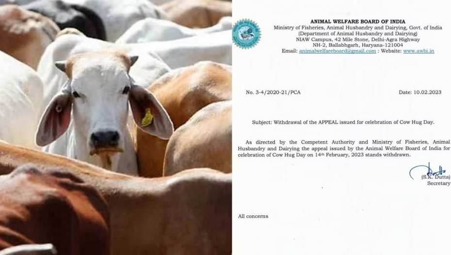No 'Cow Hug Day' On 'Valentine's Day', AWBI Withdraws Appeal