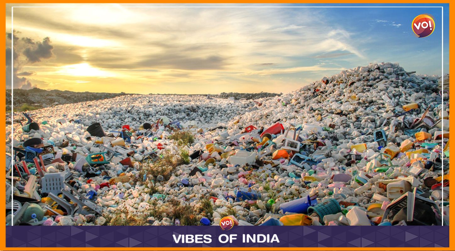 The Impact Of Plastic On Nature