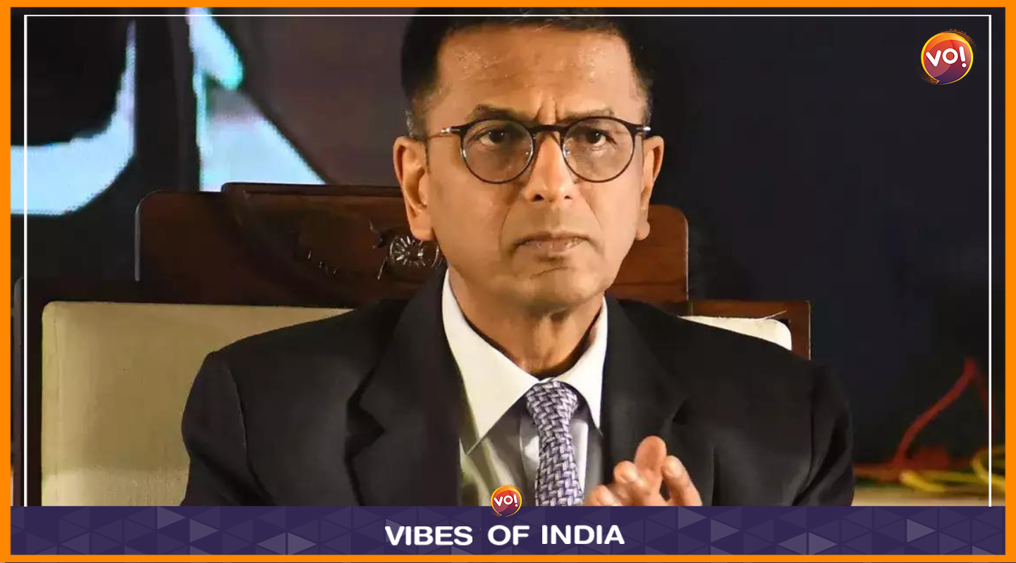 Attacks On CJI Chandrachud Suggests Reach Of Digital Influencers: Research