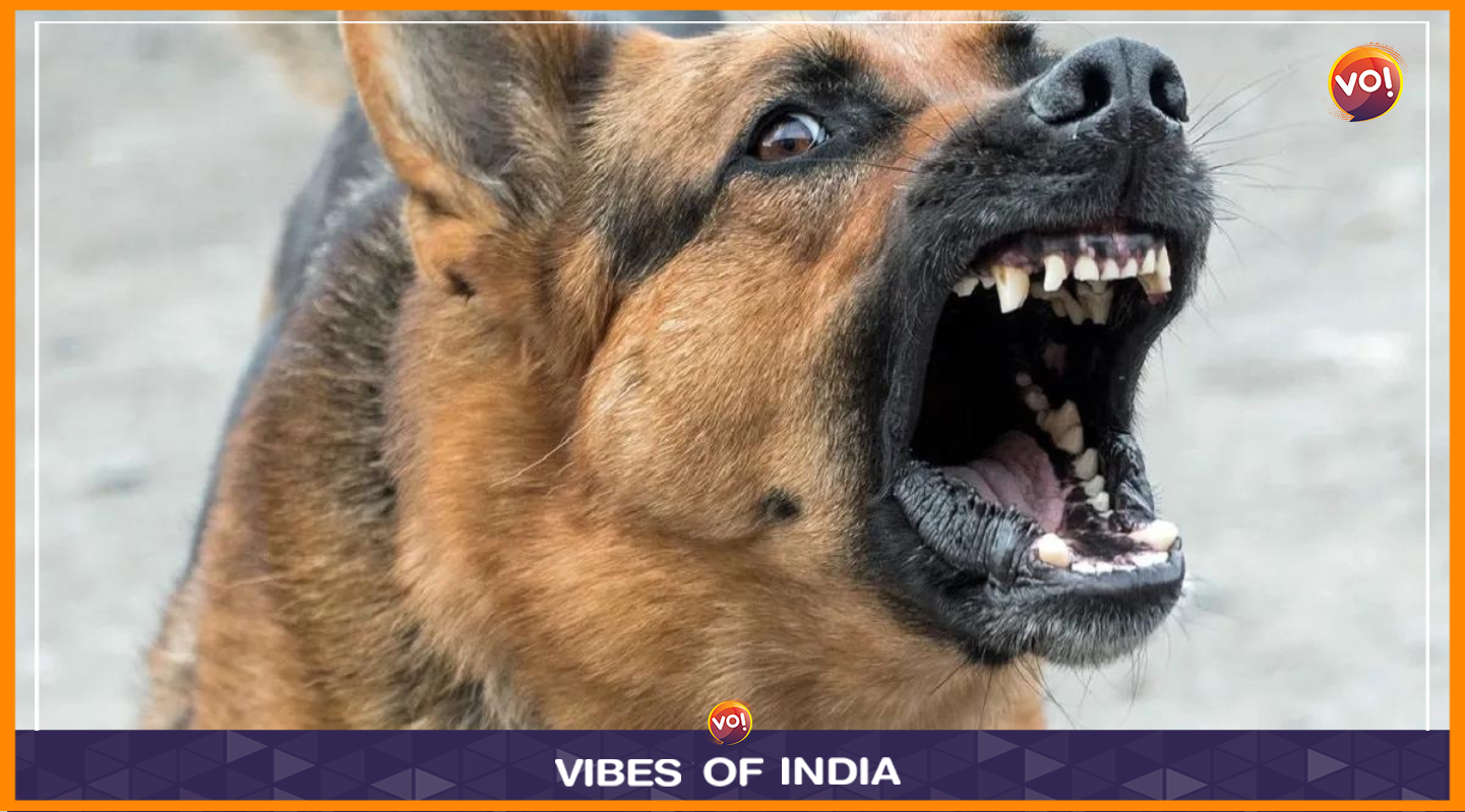 A 30-year-old delivery man suffered injuries after he jumped from the third floor of a building. The man was scared of a barking dog