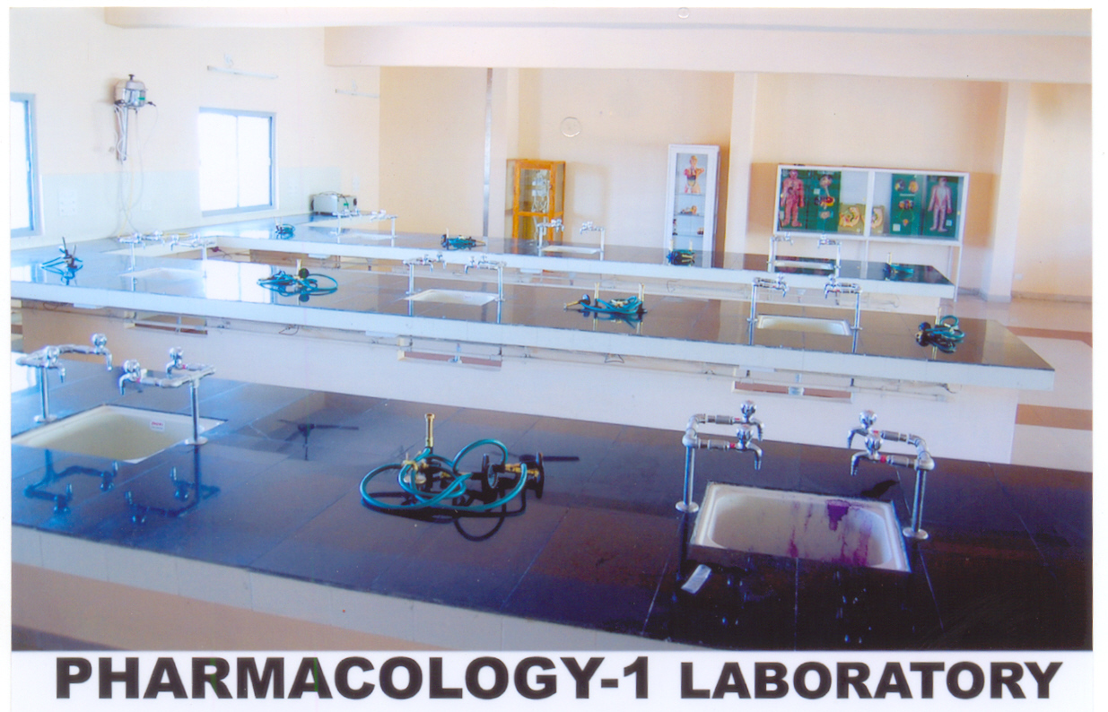 Pharma cology lab C U Shah Pharmacy College 