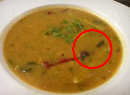 Cockroach Found In Gwalia Food Shop In Gujarat
