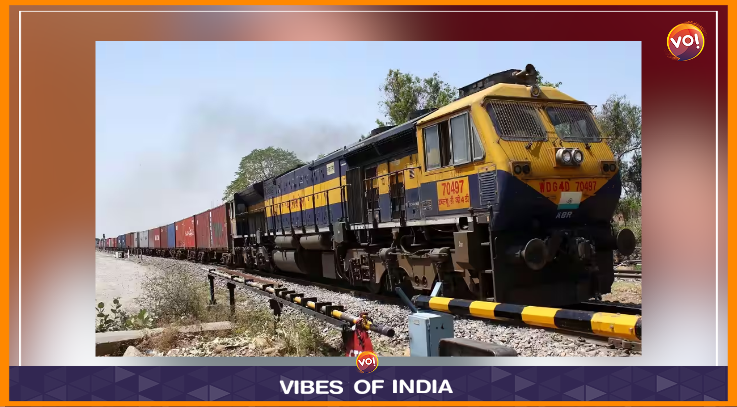 One More Young Lion Dies On Railway Track In Gujarat 