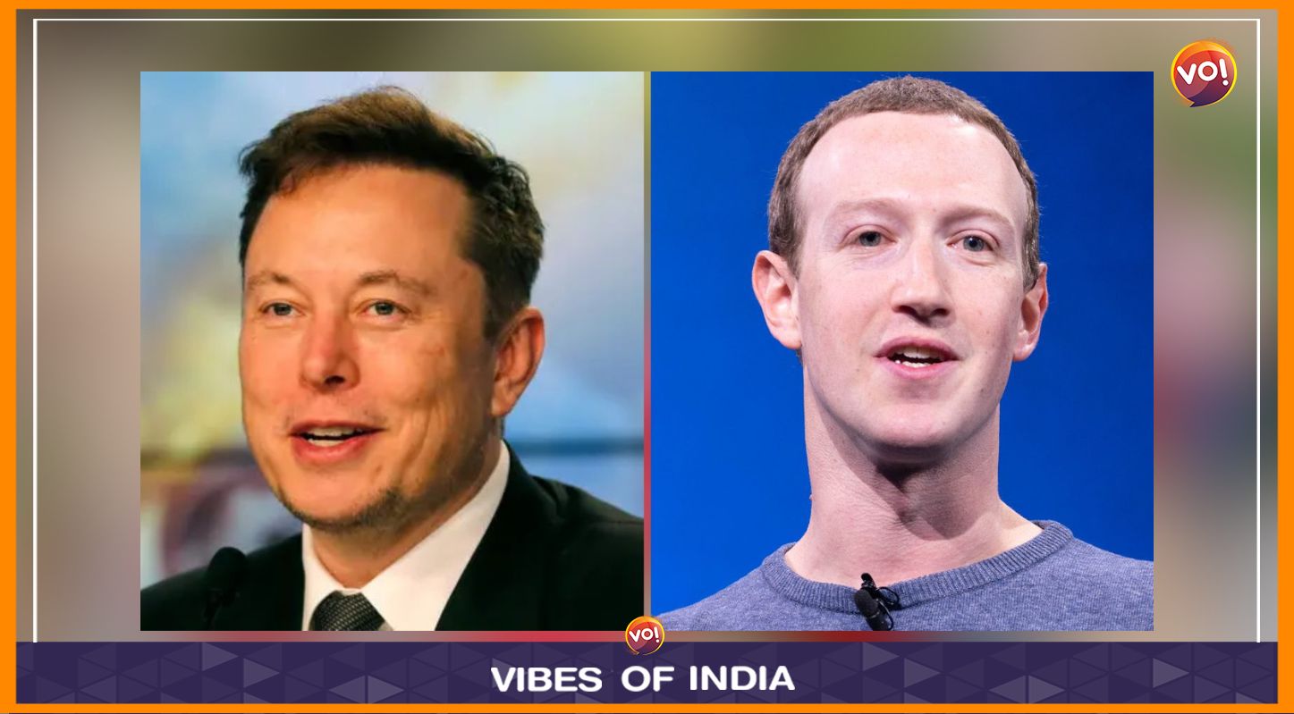 Zuckerberg Dumps Cage Fight After Musk Dithers 