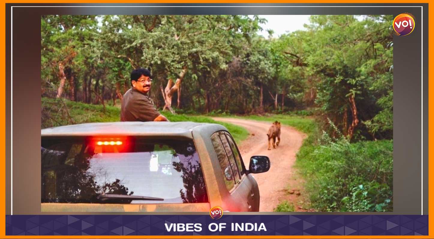 गिर के एशियाई शेरों के संरक्षण-देखभाल के लिए कैसे समर्पित हुए परिमल नाथवानी!