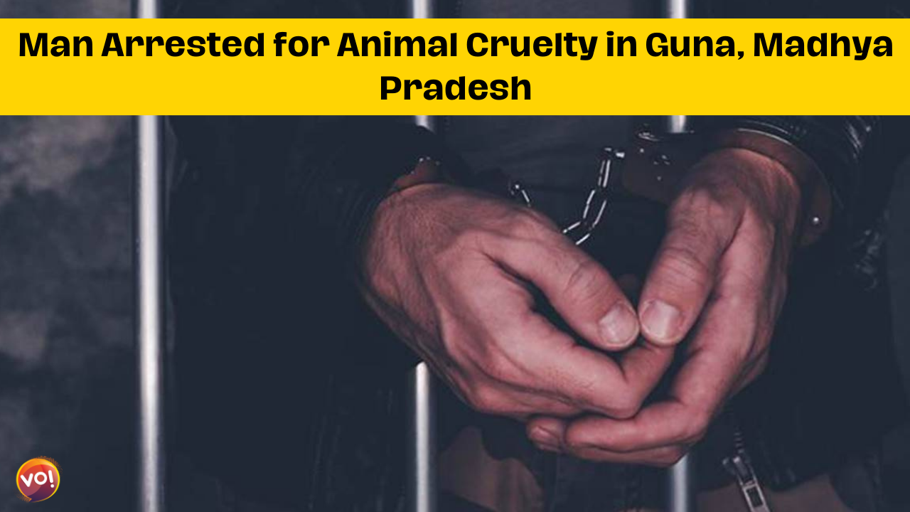 Man Arrested for Animal Cruelty in Guna, Madhya Pradesh
