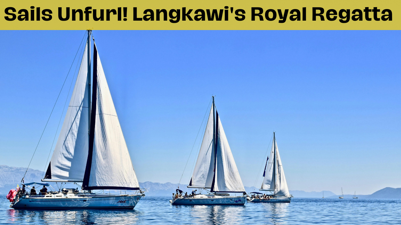 Sails Unfurl! Langkawi's Royal Regatta