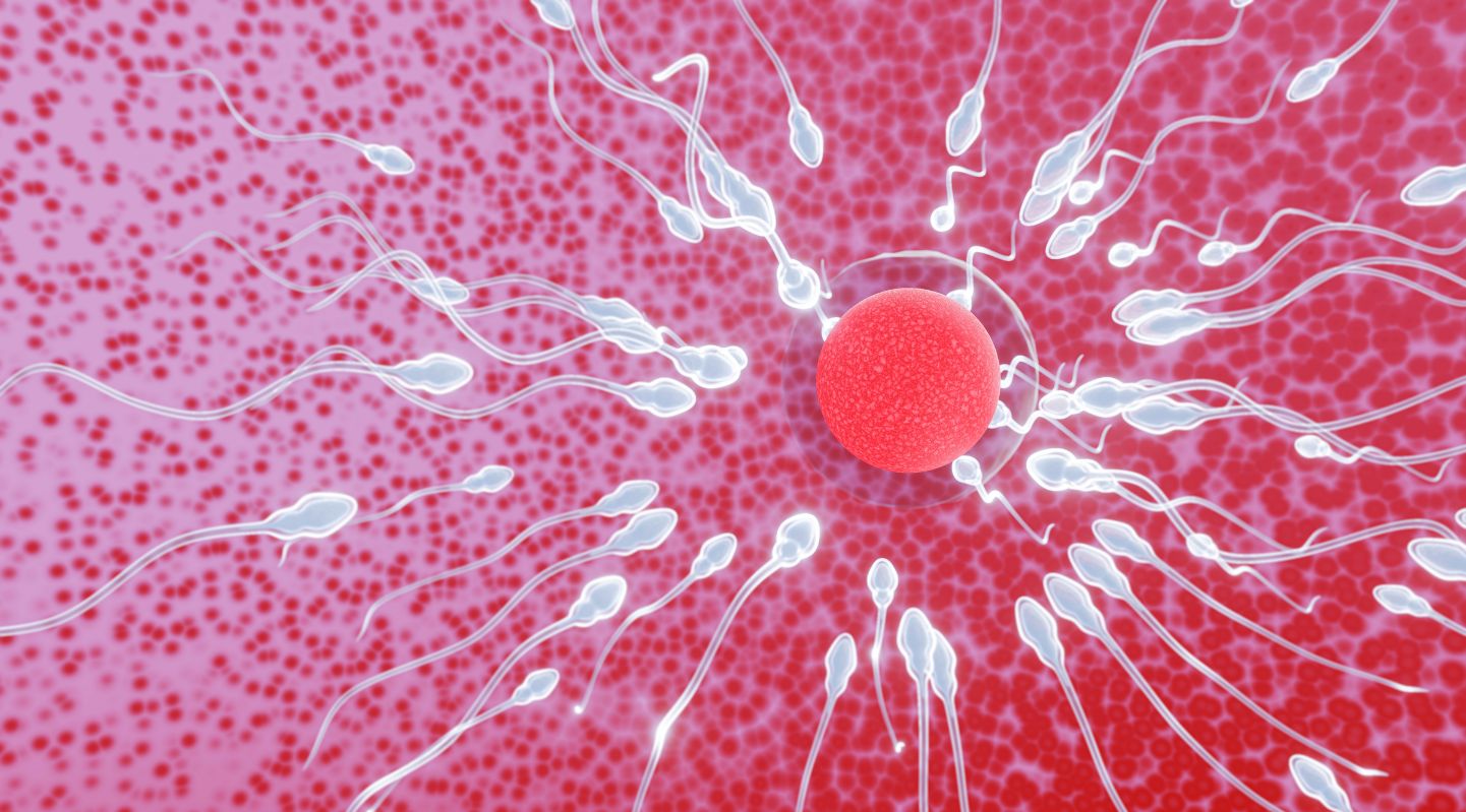 New Scientific Method Makes Sperm Swim Faster for Improved Fertility