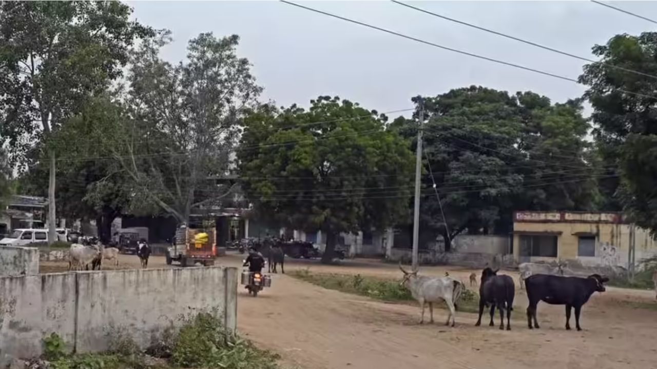 Unique prohibition of liquor in villages of Gujarat: Even packaged food and kite flying are banned