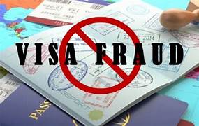 Visa Fraud in Gujarat
