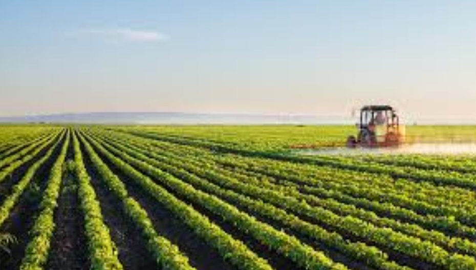 Ahmedabad Family Gets Rs 98 Lakh For Land They Did Not Know Forefather Owned