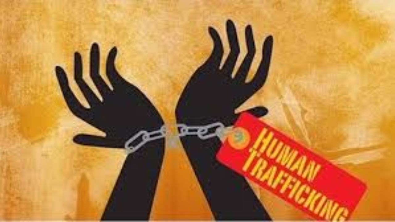 Human Trafficking