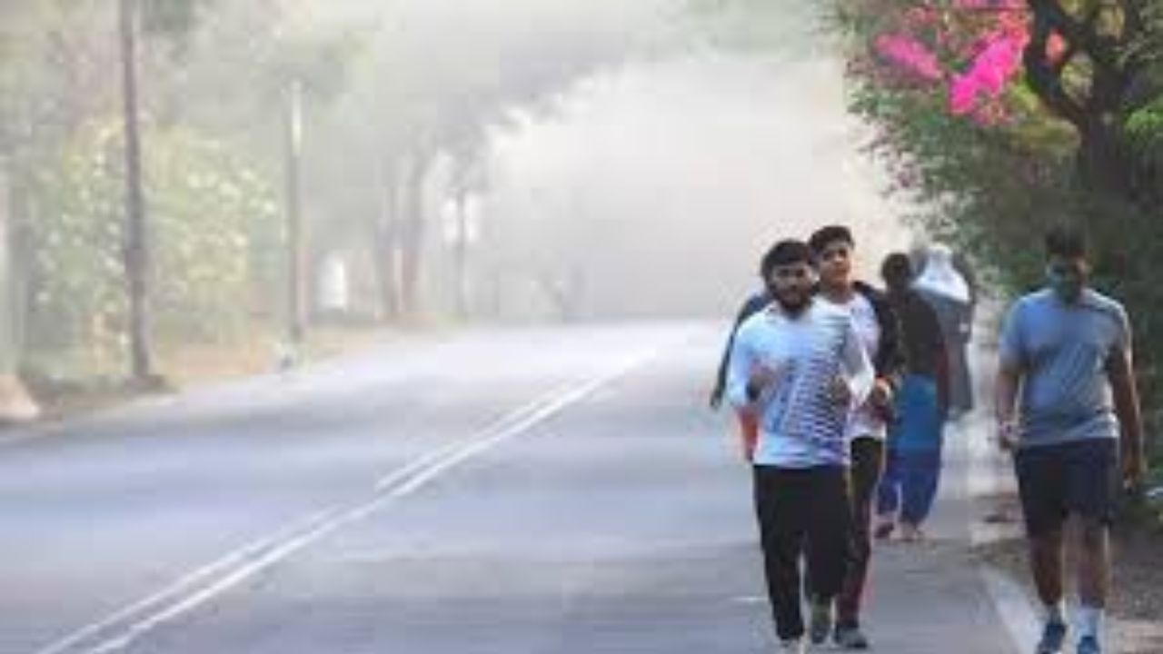 Milder winter in Gujarat