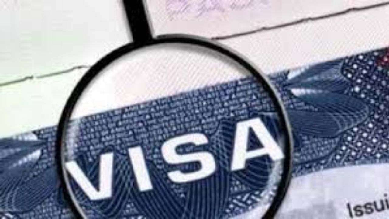 Visa Fraud