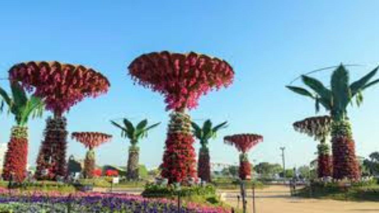 Flower Show in Ahmedabad