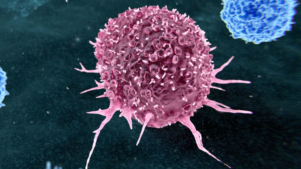 Preventable Cancer Causes