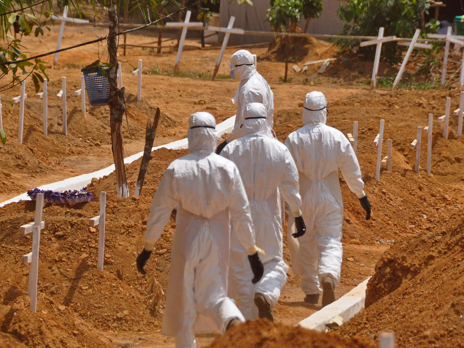 Ebola
